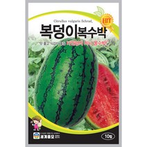 복덩이 복수박 씨앗 10립 [22년포장]
