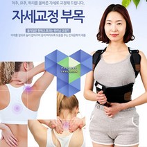 허리 골반 척추 교정기 보조기 말린 어깨 203, 약국 병원용 의료기기 자세 교정부목벨트 XL