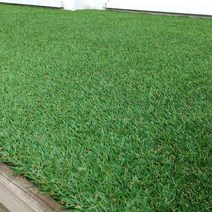 천연잔디와 흡사한 실내 테라스인조잔디 두께18mm(폭2mx5m), 2mx5m