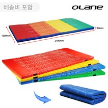 학교 체육 휠타 매트리스 구르기매트 120X240X6cm 배송비포함, 오레인 휠타 매트리스-레드, 1개