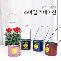 5월가정의달 행사 카네이션꽃 생화 카네이션선물 손잡이 스마일캔 어버이날선물 직접 만드는 카네이션화분 셀프 분갈이 식물초보, 환타, 핑크