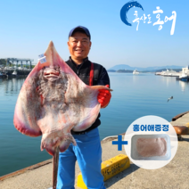 국내산 흑산도 홍어회 산지직송 소포장 1인분 250g - 1kg 홍어애증정, 1kg (5-7인분), 강한숙성
