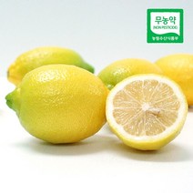 제주 무농약 레몬 국산레몬 3kg, 단품