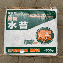 [우야플랜트샵] 칠레산 고급수태 대용량 500g, 1개(500g)