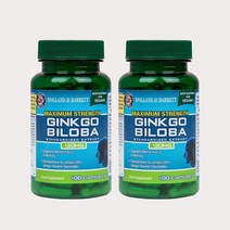 홀랜드앤바렛 징코빌로바 120mg 100정 2팩 HollandandBarrett Ginkgo Biloba