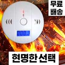 [당일출고][설명서포함] 레드싱 정확한감지 가정용 캠핑용 일산화탄소 이산화탄소 경보기