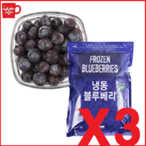 냉동 블루베리 1kg X 3ea 생과일주스 /냉동망고 Q1C, 3개