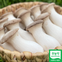 무농약 새송이버섯+미니새송이 2kg 실속세트, 새송이(상)+미니새송이