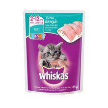 위스카스 고양이 주식 파우치 주니어 참치, 80g, 6개