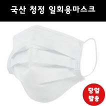 루덴 FDA승인 국산 비말차단 일회용마스크 대형 화이트 3중 MB필터 형광물질없는 마스크, 1팩, 50개