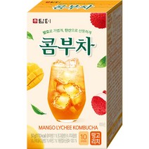 담터 콤부차 망고리치 10T