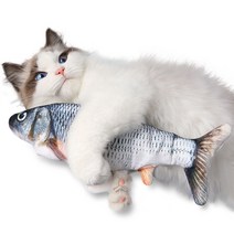 엔템 춤추는 움직이는 고양이 강아지 장난감 생선 물고기 인형, 블루길본품