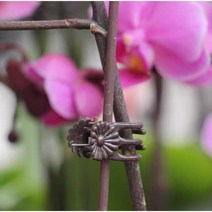 식물 고정 집게 원예용집게 가드닝 집게 식물 지지대 고정 집게 30개 50개, 50개-갈색 집게핀