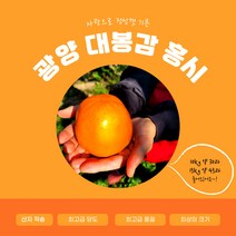 정성으로 기른 광양 대봉감 맛있는 홍시 10kg 15kg