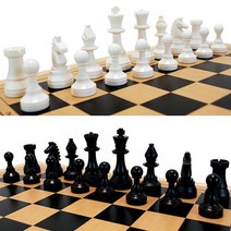 대형 자석형 체스말세트/체스/대형체스말/자석체스말, 엘림헬스케어81 본상품선택