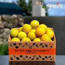 식탐대첩 제주 황금향 가정용 5kg 대과, 단품