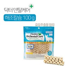 첼시 닥터 덴탈케어 100g 치석제거 스트레스해소 티에스, 1팩, 해조칼슘