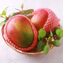 [한정수량특가] 애플망고 프리미엄 항공수입 고당도 브라질, 애플망고 4과 알뜰형 1.6kg이내, 1개