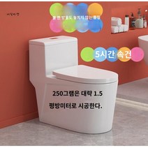 방수제 바닥 화장실 누수 침투제 방수액 벽 투명, 화장실주방어조전용《지존다이아몬드방수젤》약1.5평방미터