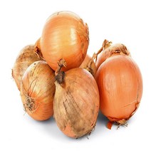 꼭지네 국내산 햇 양파(최상품) 3kg 5kg 10kg 20kg, 국산 양파 5kg