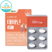 가이아 스트레스 앤 테아닌 60정 1개월분 에너지생성 감태 홍경천 마그네슘 영양제, 1박스, 1개