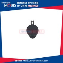 캡 라디에이터리저버 (254403K000)