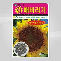 슬로시 꽃 씨앗 모음 꽃씨 허브 허브씨, 왕해바라기10립(아람)