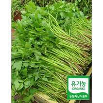 프레시원 유기농 미나리 밭미나리 산지직송 세척 500 1kg 2kg 4kg, 1개
