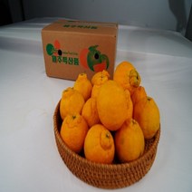 탐라인 올해 첫수확 제주직송 고당도 한라봉 중소과 5kg, 1box