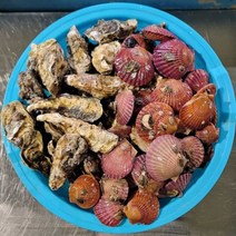 고흥 석화 홍가리비 세트 5kg-10kg 생일 파티용 캠핑용 산지직송, 6kg (석화 5kg +홍가리비 1kg)