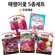 패랭이 꽃 씨앗 5종세트 패랭이꽃 꽃잔디 왕수염패랭이 수염패랭이 술패랭이 카네이션 종자