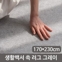 제이스토어 / GR 오염 방지 미끄럼 방수 러그 바닥 매트 170x230