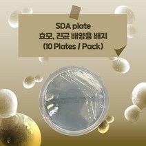 SDA plate 효모 진균 배양용 배지 미생물 배지 sabouraud dextrose agar 생배지 (10 plates)