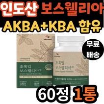 60대 여자 초록입 보스웰리아 인도산 보스웰릭산 추천 관절 연골 무릎 새끼손가락 고관절 팔꿈치 보스 엘리아 웰리스 벨리아 40대 50대 70대 노인 어르신 시니어 노년 여성 남자