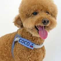 유앤펫 강아지 자수 벨크로 네이밍택 이름 인식표, 이모티콘X, 추가O, 핑크