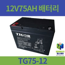 12V75AH 전동휠체어배터리 전동스쿠터배터리 대세엠케어 케어라인 전동차배터리 TG75-12