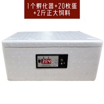 물침대 인큐베이터 소형 가정용 스마트 인큐베이터 거품박스 병아리 오리 비둘기 미니 병아리 부화기-49430, 옵션06