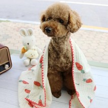 반려견 삼중면 스마일담요 강아지 푸들 애완견이불 웰시코기 말티푸, L