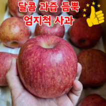 고당도 15브릭스 부사 사과 10kg 거창사과 나주배 선물세트 과일선물세트, 특정품부사 / 10kg / 중과 30-40과