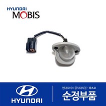 포터2 순정 차량번호판등 번호등 넘버등 램프 (925014F000)