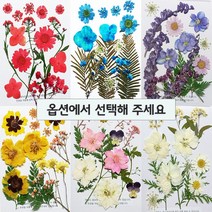 압화 레진 공예 꽃 책갈피 편지 만들기 종합팩 HF-A00 (옵션선택), HF-A01(레드계열)