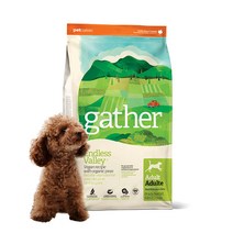 게더 앤드레스밸리 비건 레시피 사료 2.72kg 강아지 야채, 게더 엔드레스벨리 2.72kg(6LB)