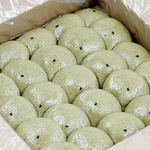 지투지샵 잔기지떡 1박스 쑥 50개