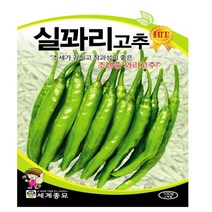 실꽈리고추 씨앗 채소 고추종자(100립) MK111