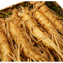 [세척] 전세계인정 국내산 금산인삼 정품 인삼 5년근 6년근 수삼 난발삼 원수삼 가족 보양식 원기회복 부모님 건강 선물 인삼주 삼계탕 인삼꿀절임 담금주, 세척 난발삼중 750g(12~15뿌리), 1개