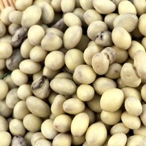 대용량 요거트 초콜렛 1kg 건포도 초코볼 벌크 인간사료 단체 주문 소분