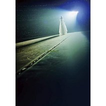 언젠가 여기에 있는 Documentary of 노기자카 46 Blu-ray 스페셜 에디션(Blu-ray 2매 세트)[초회 사양 한정]