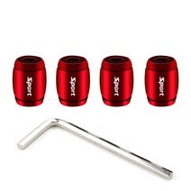 DSYCAR-도난 방지 스포츠 타이어 밸브 더스트 캡 1 세트 방진 스템 자동차 자전거 모토용 신, 1-그물