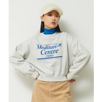 스파오 레터 크롭 스웨트셔츠 기모 SPMWD11G03