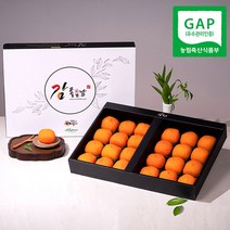 감좋은날 청도 반건시 곶감 선물세트, 2박스, 1400g(20입) 대자